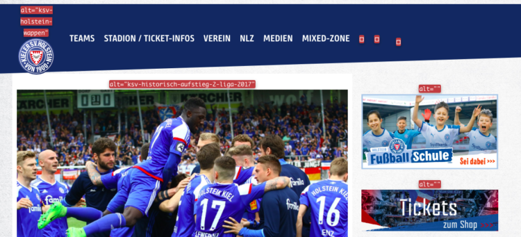  Screenshot von der Website: zeigt fehlende / falsche Alttags